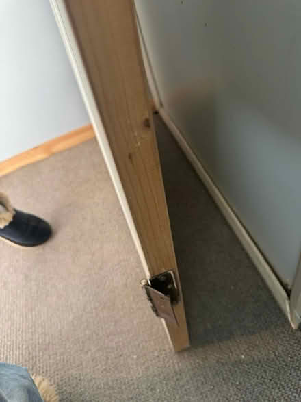 Photo of free Wooden door (Sheffield S2) #3