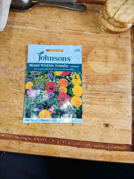Photo of free Flower Seeds Anemone Corms, Wildlife Seeds (New Park HG1) #2