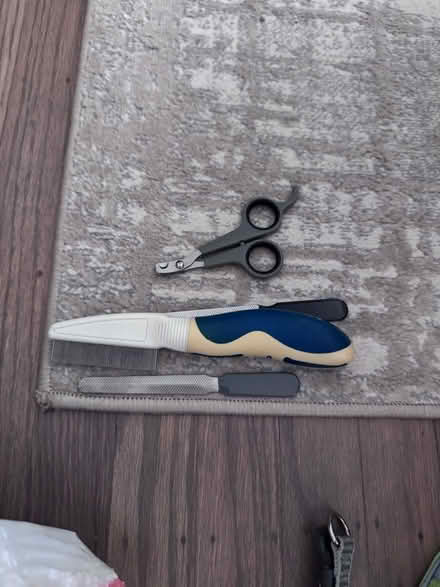 Photo of free Dog supplies (North Highlands) #3