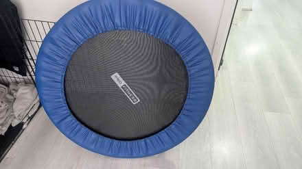 Photo of free Rebounder (Hailsham BN27) #1