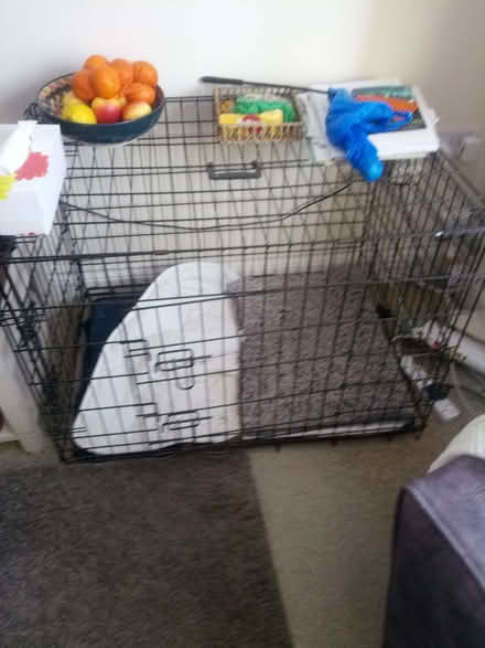 Photo of free Dog Crate (Ramsgate CT12) #1