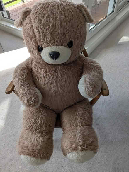 Photo of free Teddy (B91 - Central Solihull) #1