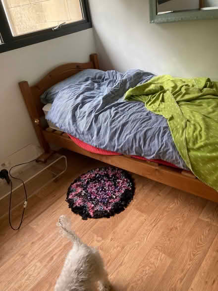 Photo of free single bed and mattress (Camden BA1) #1