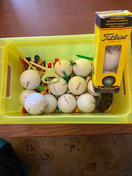Photo of free Selection of golf balls and tees (Woodstock OX20) #1