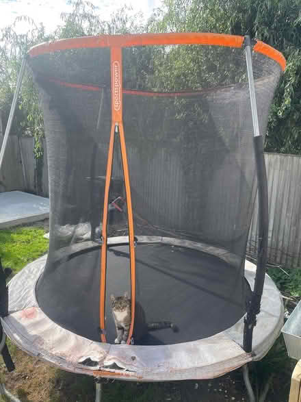 Photo of free 8ft trampoline (Whitstable CT5) #1