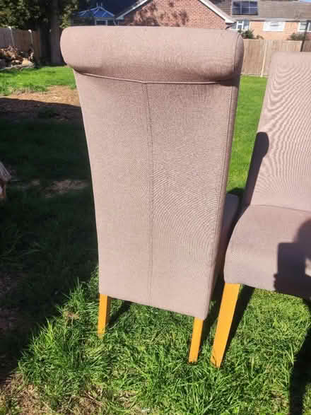 Photo of free 6x dining chairs (Derby) #3