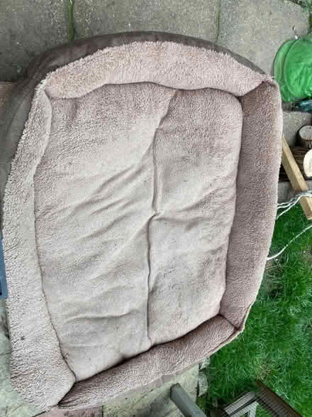 Photo of free Large dog bed (Dudbridge GL5) #1
