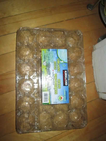 Photo of free 4 egg cartons (Old Ottawa South) #1