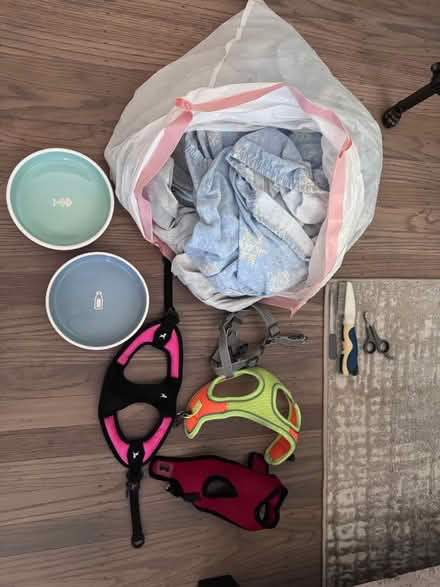 Photo of free Dog supplies (North Highlands) #1