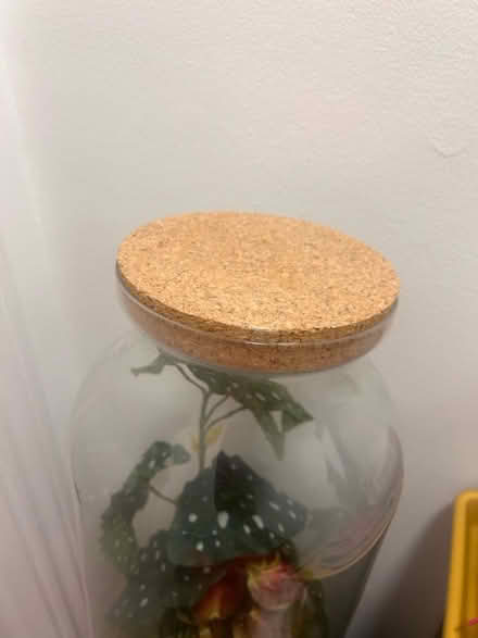 Photo of free 20x9cm Fake Plant Terrarium (SE1 Kent Road) #4