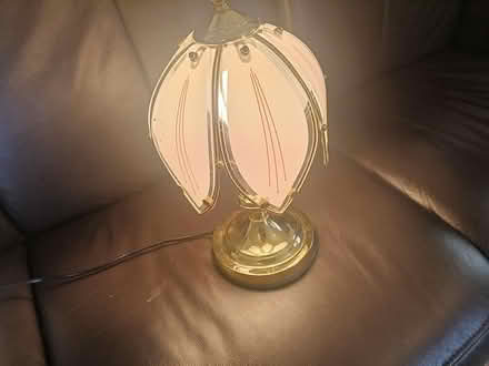 Photo of free Lamp (HR6 Shobdon) #1