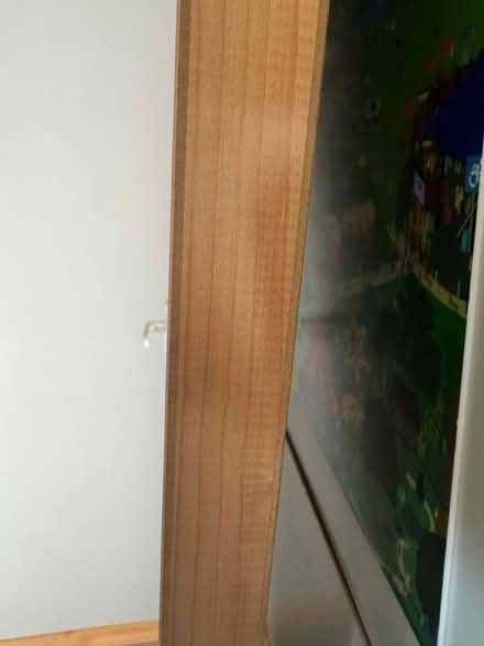 Photo of free Wooden door (Sheffield S2) #4