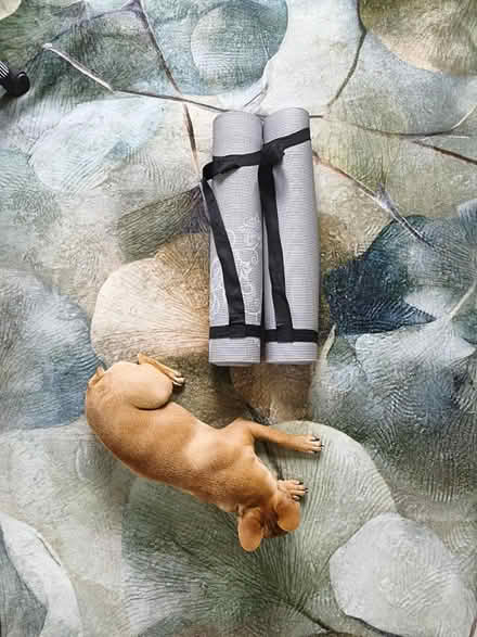 Photo of free Yoga mattress (Swords) #1