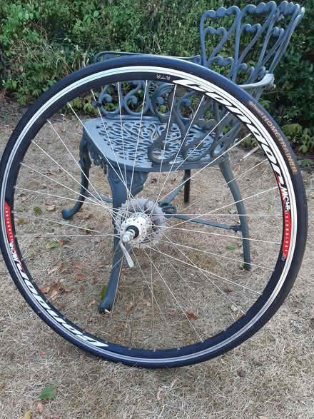Photo of free Cycle trainer and bike wheel (Reigate RH2) #3