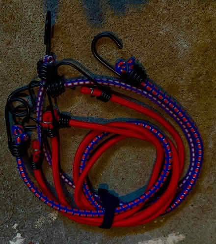 Photo of free Bungee Cords (Terra Linda) #1