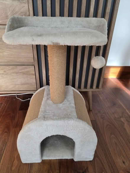Photo of free Cat tower (Ravenscourt Park W6) #3