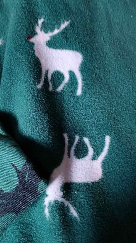 Photo of free Gents cosy pyjamas (Chesser EH14) #2