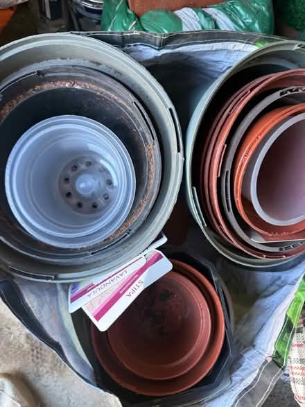 Photo of free Plastic plant pots (Bracknell RG12) #1