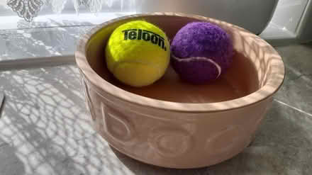 Photo of free Dog bowl and balls (St. Albans) #1