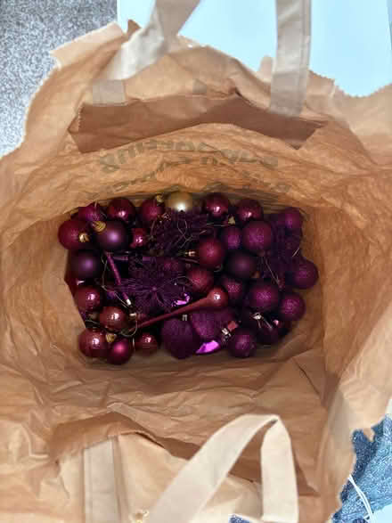 Photo of free Christmas Decorations (Harpur Hill SK17) #3