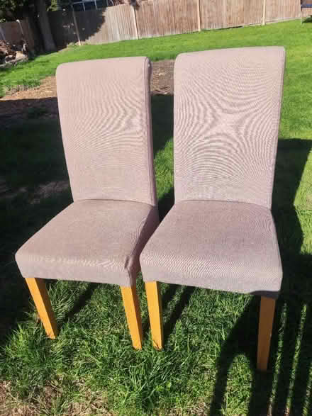 Photo of free 6x dining chairs (Derby) #1