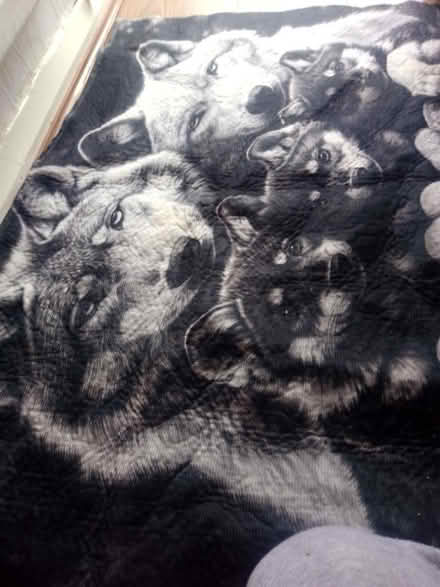 Photo of free Wolf family door rug (Ashhill walk Bd47jf) #1