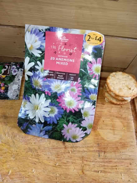 Photo of free Flower Seeds Anemone Corms, Wildlife Seeds (New Park HG1) #1