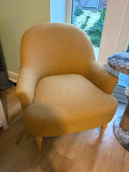 Photo of free Small yellow armchair (Walkley S6) #1