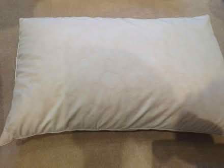 Photo of free Feather pillow (Chapel End E17) #1