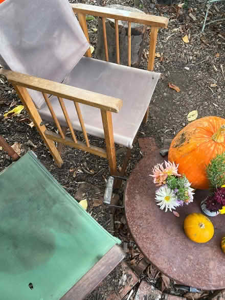 Photo of Garden Chairs (Hove BN3) #1