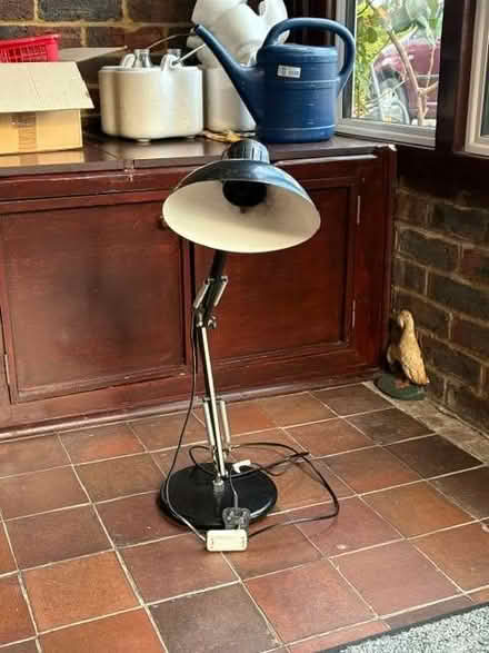 Photo of free Anglepoise Type Lamp (Steyning BN44) #2