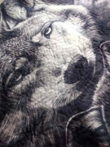 Photo of free Wolf family door rug (Ashhill walk Bd47jf) #2