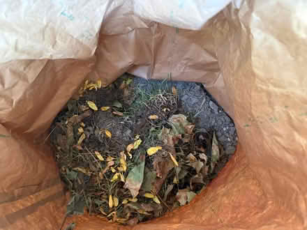 Photo of free Topsoil (Roncesvalles) #1