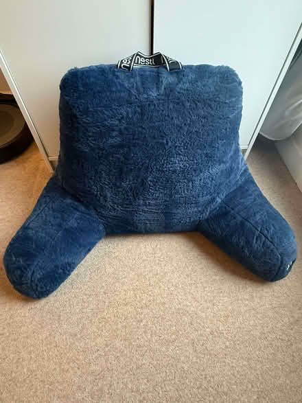 Photo of free Nestle Reading Pillow (Borough SE1) #2