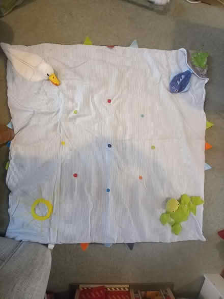 Photo of free Baby play mat (Wormley EN10) #1