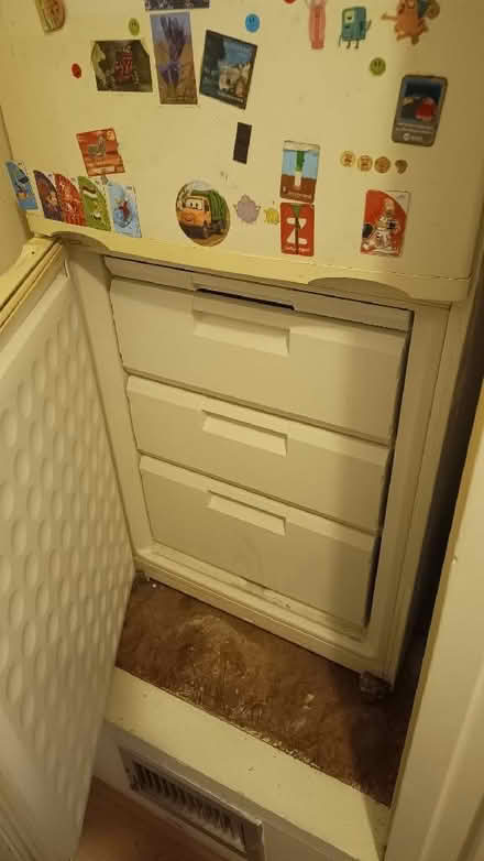 Photo of free Fridge and freezer big one (Cann Hall E11) #3