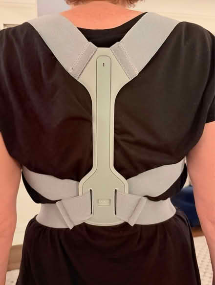 Photo of free Posture support/ brace (Upper West side. West 83.) #3