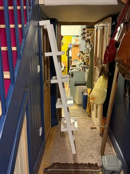 Photo of free Narrow white ladder shelf (Durham DH1) #1