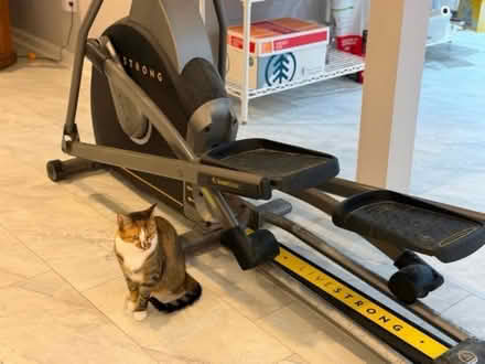 Photo of free Livestrong Elliptical Machine (Randolph) #2