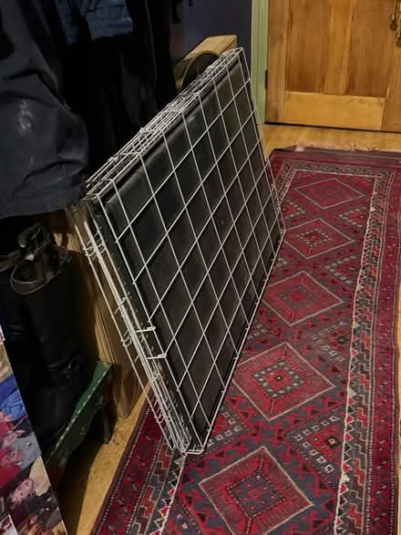 Photo of free Extra large dog crate (Durham DH1) #1