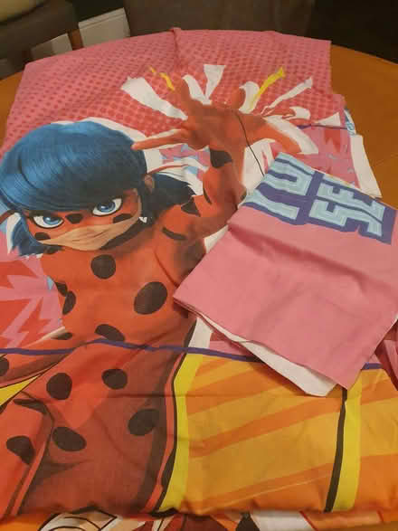 Photo of free Ladybird single duvet and pillow cover (Bruntsfield EH10) #1