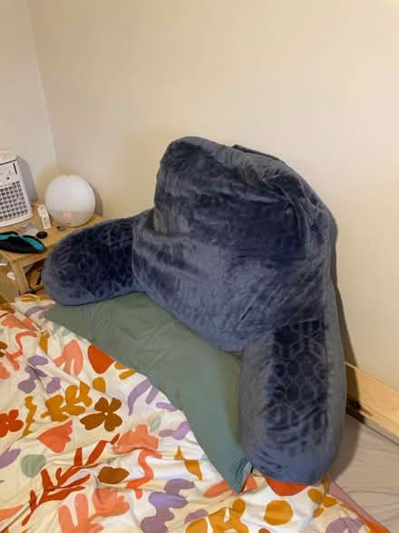 Photo of free Bed support cushion (colchester CO1) #1