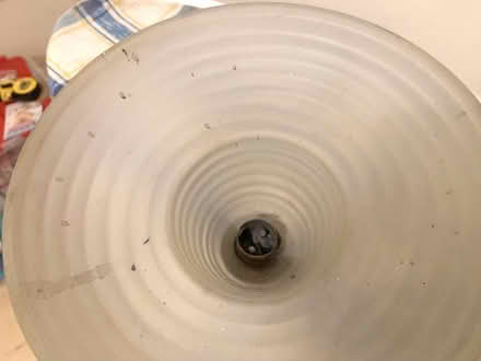 Photo of free ceiling lamp 3 arm 1950's Chrome (Hulme M16) #3