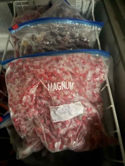 Photo of free Frozen Redcurrants (Crowborough TN6) #2