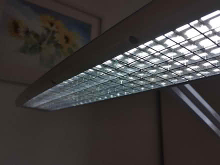 Photo of free Artists lamp (Heavitree EX2) #4