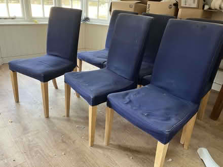 Photo of free Dining room chairs (Newton Court Farm RG20) #1