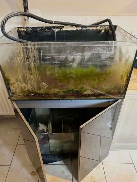 Photo of free Fish/Reptile Tank (Saint Andrew Auckland DL14) #3