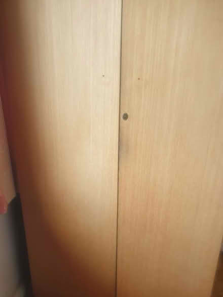 Photo of free single wardrobe (Sandon CM2) #3