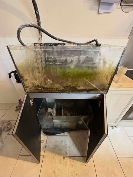 Photo of free Fish/Reptile Tank (Saint Andrew Auckland DL14) #1