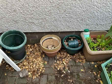 Photo of free Selection of plant pots, mostly plastic (Alnwickhill EH16) #1